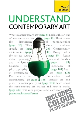 Understand Contemporary Art: Teach Yourself - Grant Pooke, Graham Whitham