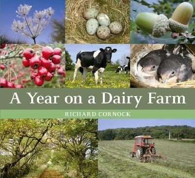 A Year on a Dairy Farm - Richard Cornock