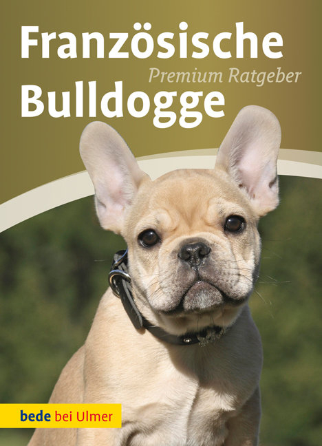 Franz&ouml;sische Bulldogge - Annette Schmitt