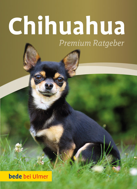 Chihuahua - Annette Schmitt, Andrea Gerkens