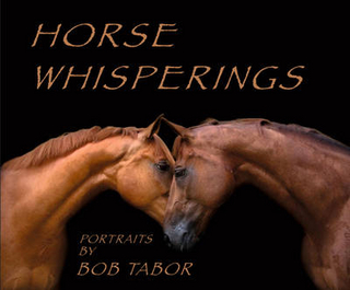 Horse Whispering