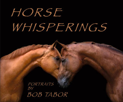 Horse Whispering - Bob Tabor
