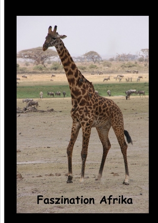 Faszination Afrika