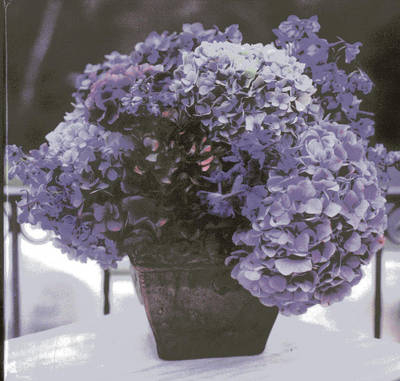 Hydrangea Memo Cube Plus Greeting Cards and Envelope -  Peony Press