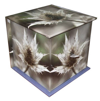 Winter Flowers -  Anness Publishing