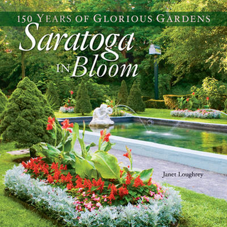 Saratoga in Bloom