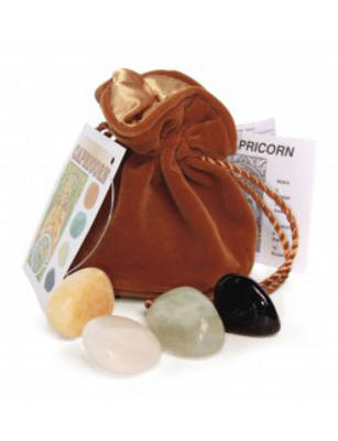 Astrology Crystal Talisman Capricorn