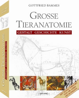 Große Tieranatomie