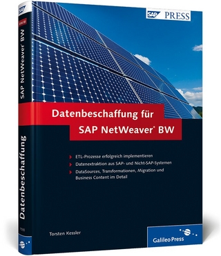 Datenbeschaffung für SAP NetWeaver BW