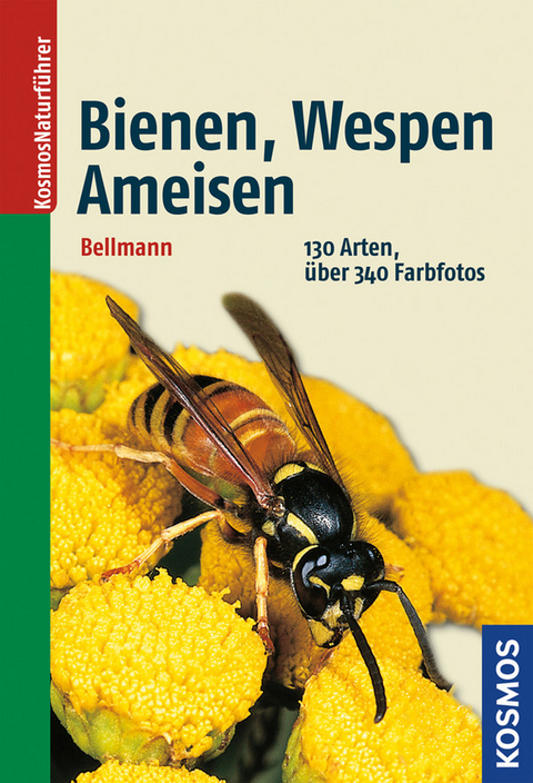 Bienen, Wespen, Ameisen - Dr. Heiko Bellmann