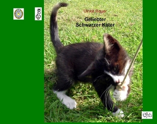 Geliebter Schwarzer Kater