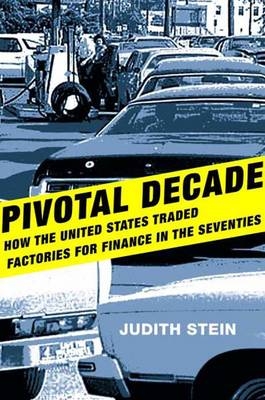 Pivotal Decade - Judith Stein