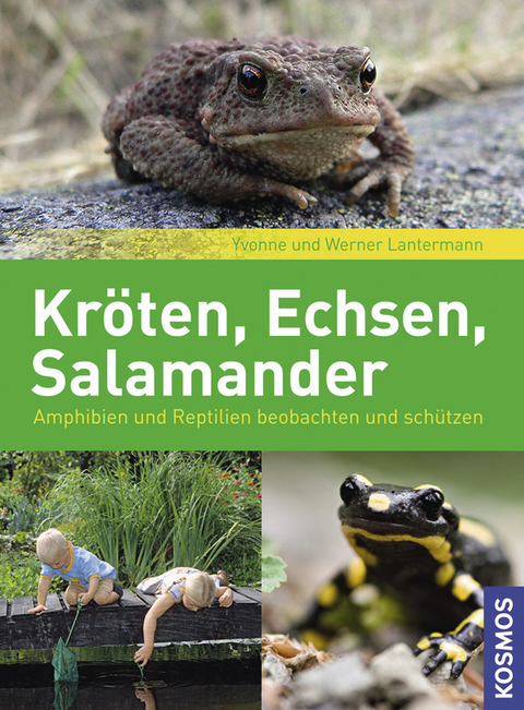 Kr&ouml;ten, Echsen, Salamander - Werner Lantermann, Yvonne Lantermann