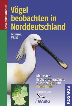 Vögel beobachten in Norddeutschland