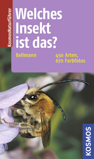 Welches Insekt ist das?