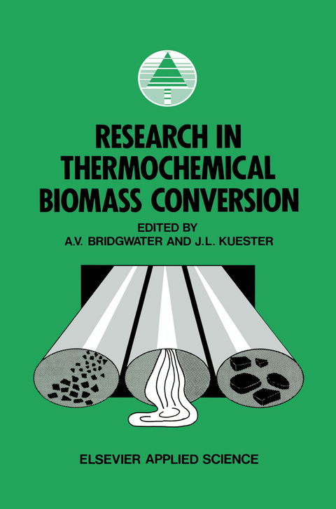 Research in Thermochemical Biomass Conversion - 