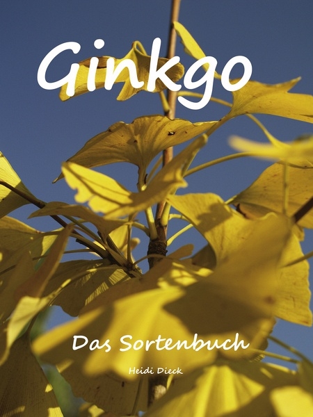 Ginkgo - Heidi Dieck