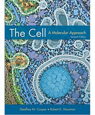 The Cell. International Edition