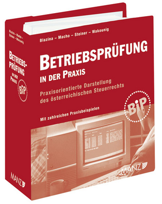 Betriebsprüfung in der Praxis