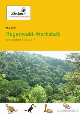 Regenwald-Werkstatt