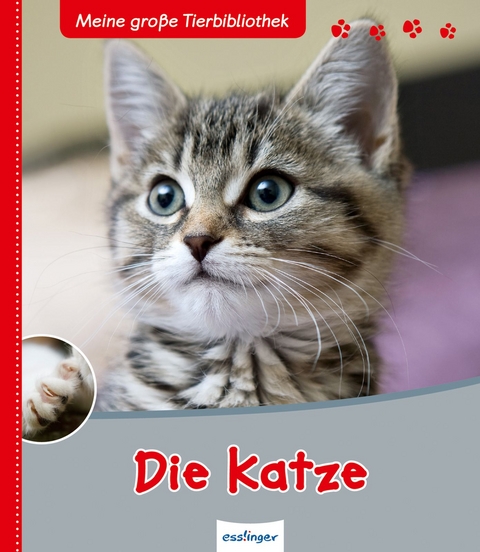 Meine gro&szlig;e Tierbibliothek: Die Katze - St&eacute;phane Frattini