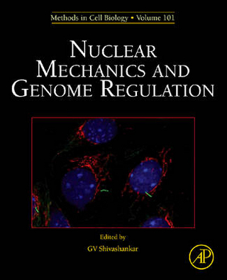 Nuclear Mechanics and Genome Regulation