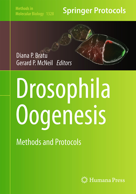 Drosophila Oogenesis - 
