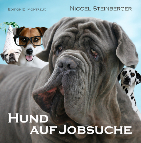 Hund auf Jobsuche - Niccel Steinberger