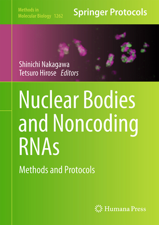 Nuclear Bodies and Noncoding RNAs