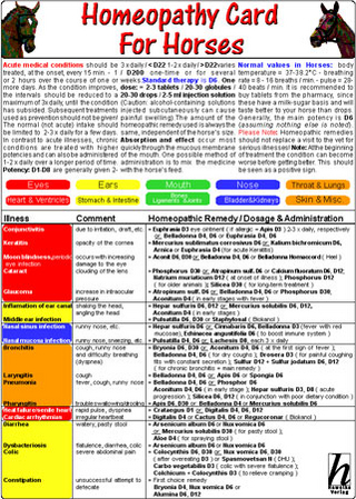 Homeopathy Card for Horses