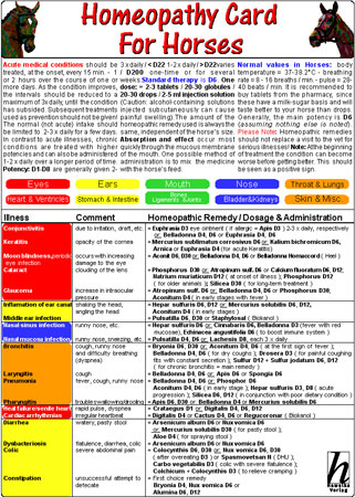 Homeopathy Card for Horses - 