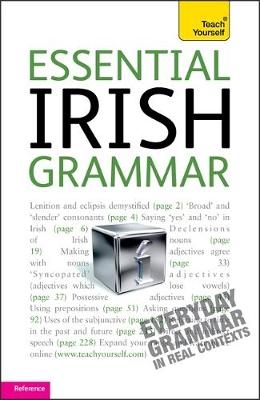 Essential Irish Grammar: Teach Yourself - &Eacute;amonn &Oacute; D&oacute;naill
