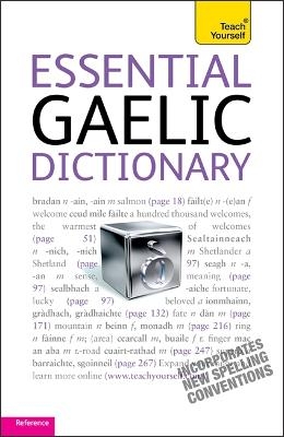 Essential Gaelic Dictionary: Teach Yourself - Boyd Robertson, Ian MacDonald