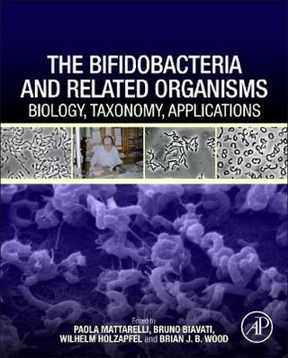 Bifidobacteria and Related Organisms