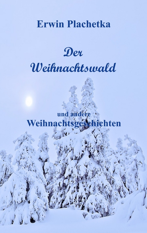 Der Weihnachtswald - Erwin Plachetka