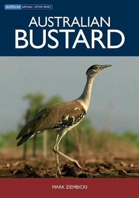 Australian Bustard - Mark Ziembicki