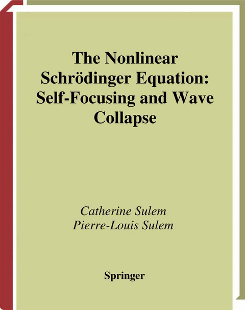 The Nonlinear Schr&ouml;dinger Equation - Catherine Sulem, Pierre-Louis Sulem