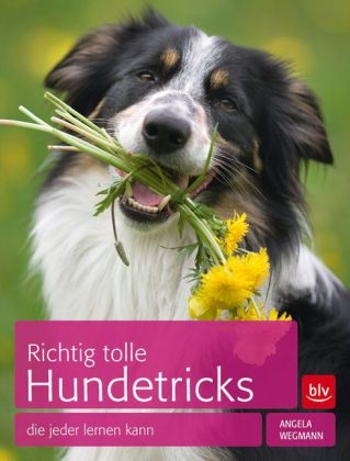 Richtig tolle Hundetricks