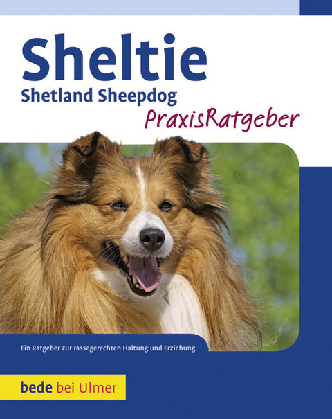 Sheltie - Charlotte Schwartz