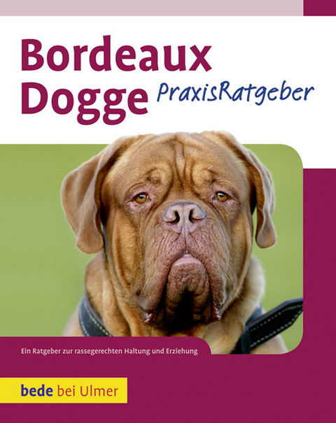 Bordeaux Dogge - Joseph Janisch