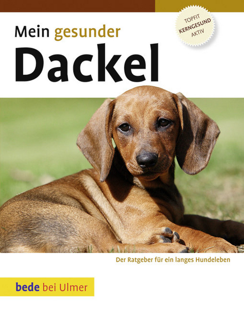 Mein gesunder Dackel - Lowell Ackerman