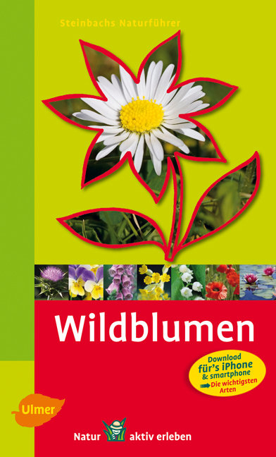 Steinbachs Naturf&uuml;hrer Wildblumen - Bruno P. Kremer, Birke Steinbach