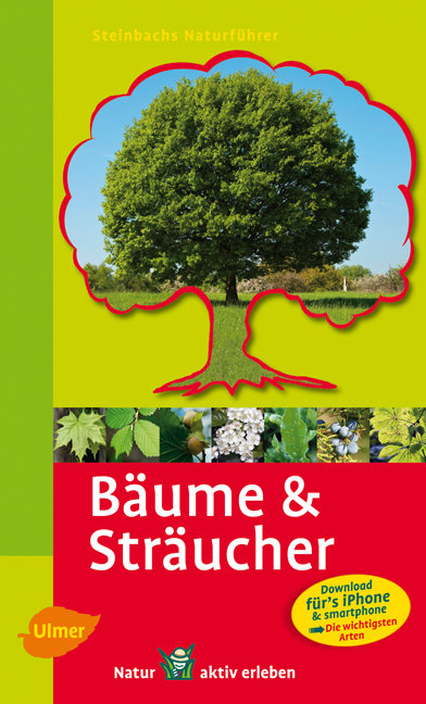 Steinbachs Naturf&uuml;hrer B&auml;ume & Str&auml;ucher - Bruno P. Kremer