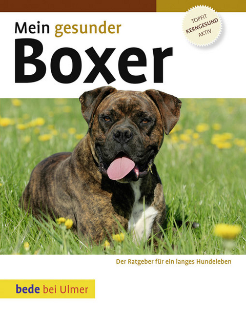 Mein gesunder Boxer - Lowell Ackerman