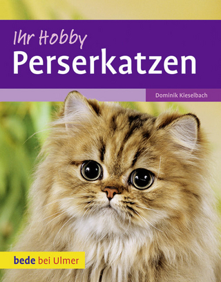 Ihr Hobby Perserkatzen