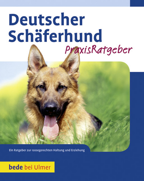 Deutscher Schäferhund - Susanne Samms