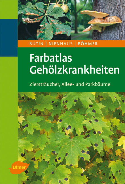 Farbatlas Geh&ouml;lzkrankheiten - Heinz Butin, Franz Nienhaus, Bernd B&ouml;hmer
