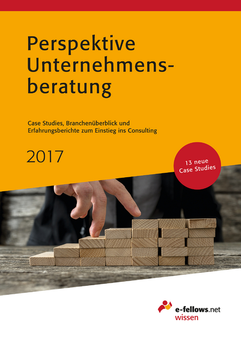 Perspektive Unternehmensberatung 2017 - 