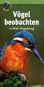 Vögel beobachten in ihrer Umgebung