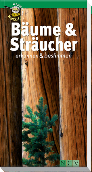 Bäume & Sträucher erkennen und bestimmen